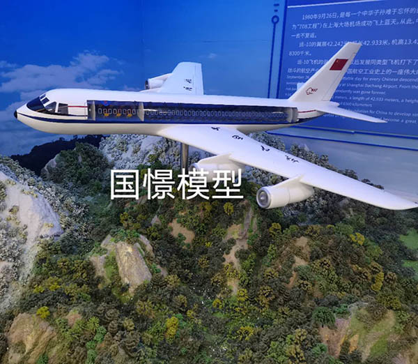 嘉禾县飞机模型