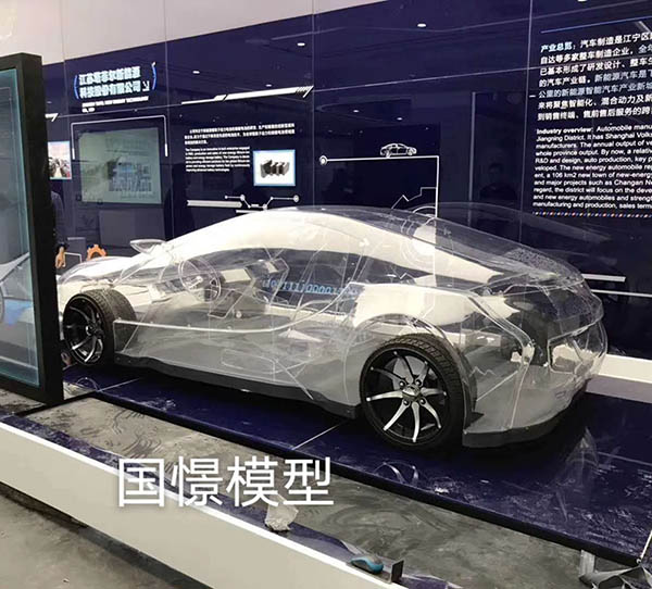 嘉禾县透明车模型
